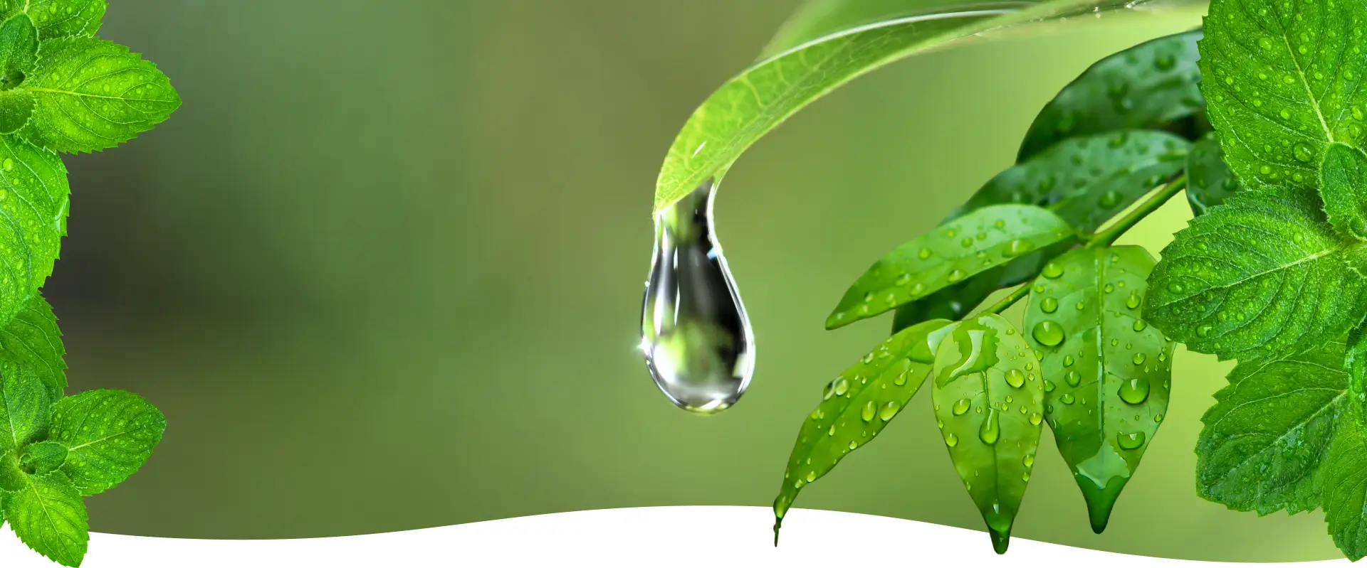 Eficiência em cada gota